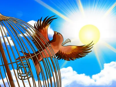 Illustration acquitted - Image 1