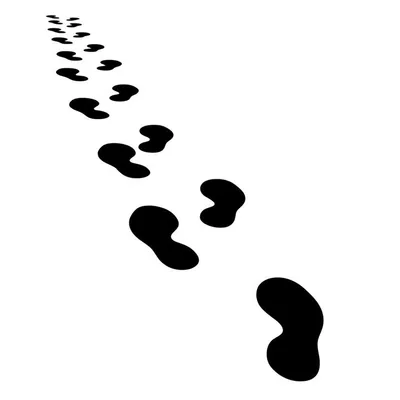 Illustration procedure - Image 1