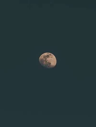 Illustration wanes - Image 3