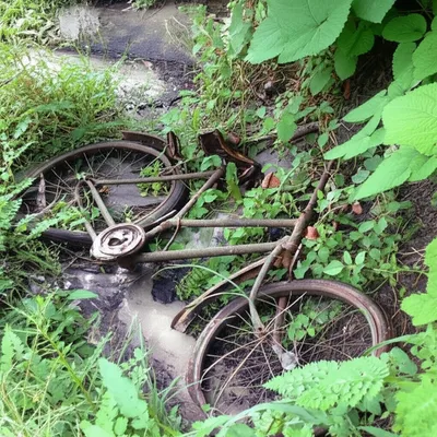 Illustration duff - Image 1