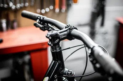 Illustration stems - Image 1