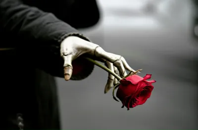 Illustration deadly - Image 1