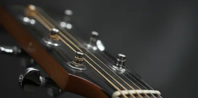 Illustration dropping - Image 1