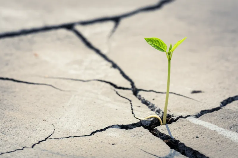 antagonized background