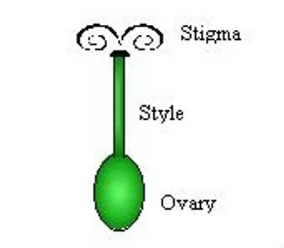 Illustration style - Image 3