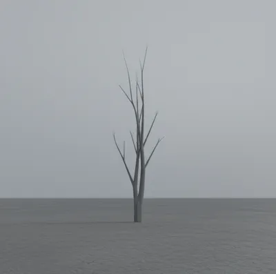 Illustration colourless - Image 1