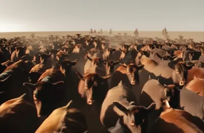 Illustration stampede - Image 1