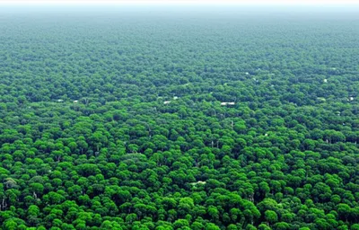 Illustration uncropped