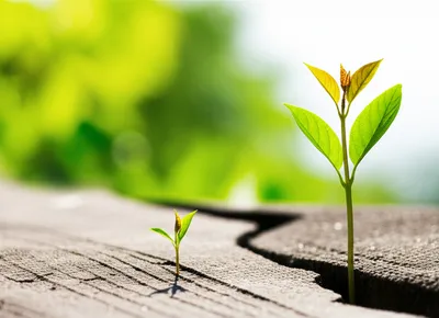 Illustration passes - Image 1