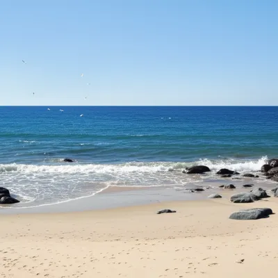 Illustration coasts - Image 1