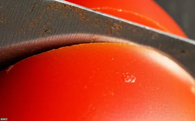 Illustration serrated - Image 1