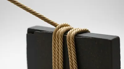 Illustration band - Image 1