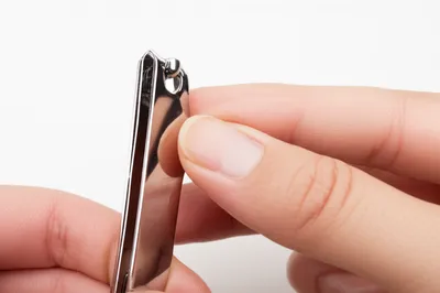 Illustration manicured