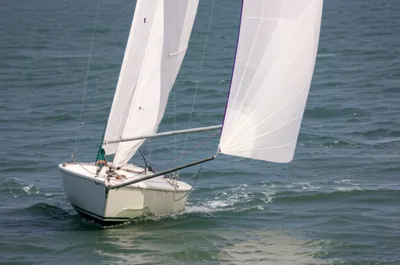 Illustration gybed - Image 1