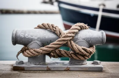 Illustration bent - Image 1