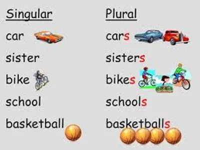 Illustration plural - Image 3