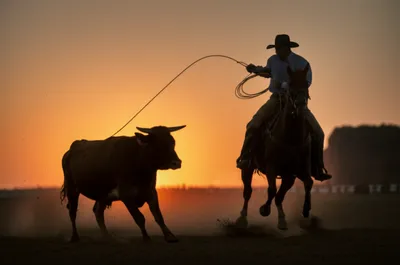 Illustration roped - Image 1