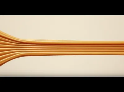 Illustration elongate - Image 1