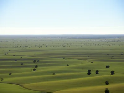 Illustration tract - Image 1