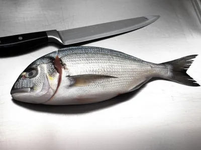 Illustration heads - Image 1