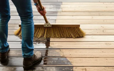 Illustration hogged - Image 1