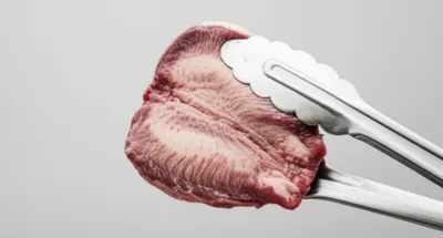 Illustration tongs - Image 1