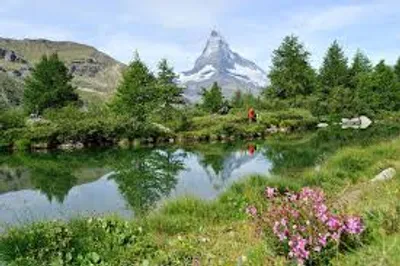 Illustration flora - Image 2