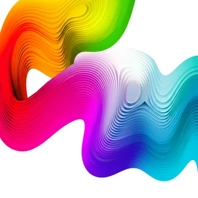 Illustration snakes - Image 1