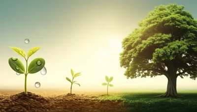 Illustration augmenting