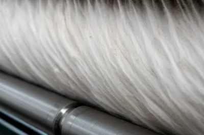 Illustration slivers - Image 1