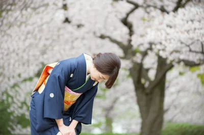 Illustration bowed - Image 1