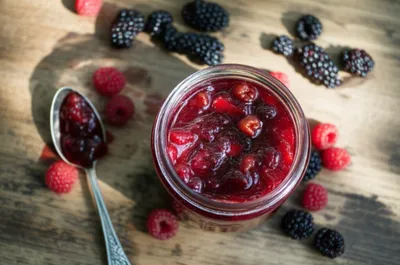 Illustration jellies - Image 1