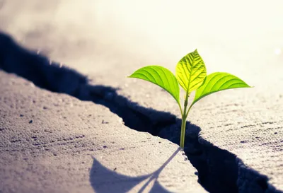 Illustration bettered - Image 1