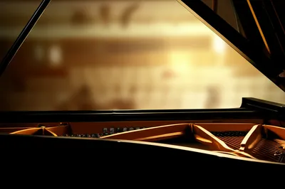 Illustration fine - Image 1