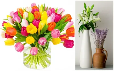 Illustration vases - Image 1