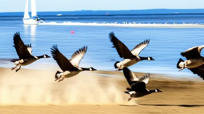 Illustration goose - Image 1