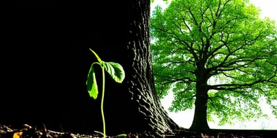 Illustration subs - Image 1