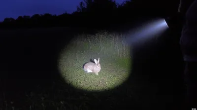 Illustration lamped - Image 1