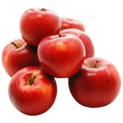 Illustration multiplied - Image 1