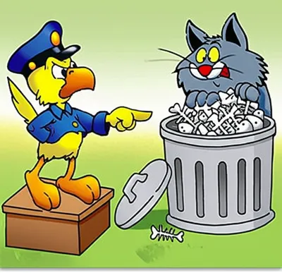 Illustration squawk - Image 1