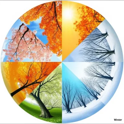 Illustration quadrennial