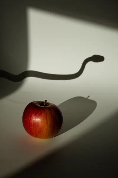 Illustration insinuations - Image 1