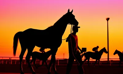 Illustration backtracks - Image 1