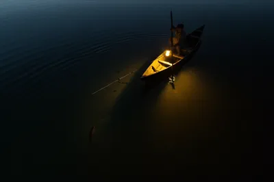 Illustration poaches - Image 1