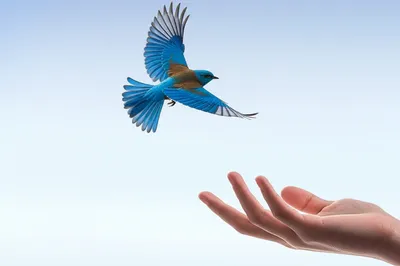 Illustration detaining - Image 1