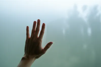 Illustration opacity - Image 1