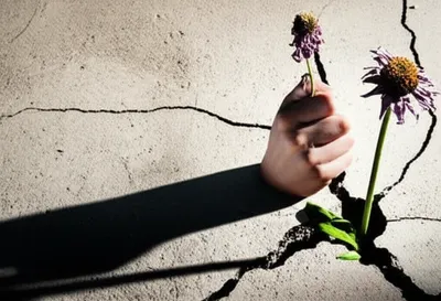 Illustration distrained - Image 2