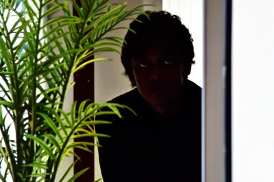 Illustration sus - Image 1