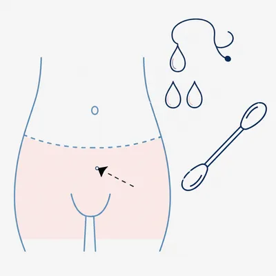 Illustration tampons - Image 1