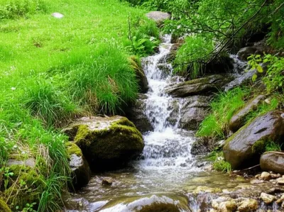 Illustration drains - Image 1